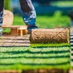 Gartenbau in Stuttgart bei einer Neuanlage